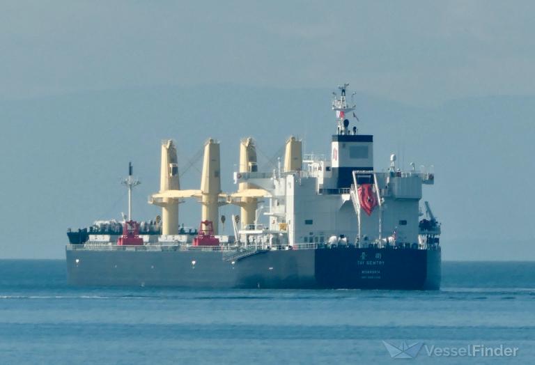 TAI SENTRY photo
