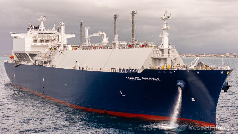 MARVEL PHOENIX photo