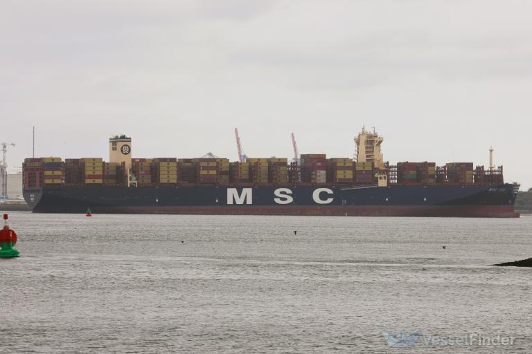 MSC IVA photo
