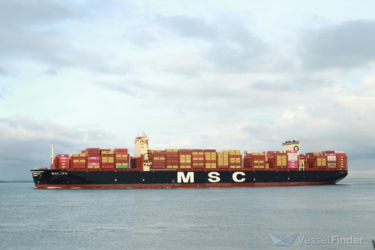 MSC IVA