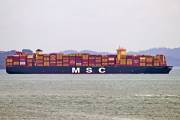 MSC-ISCHIA