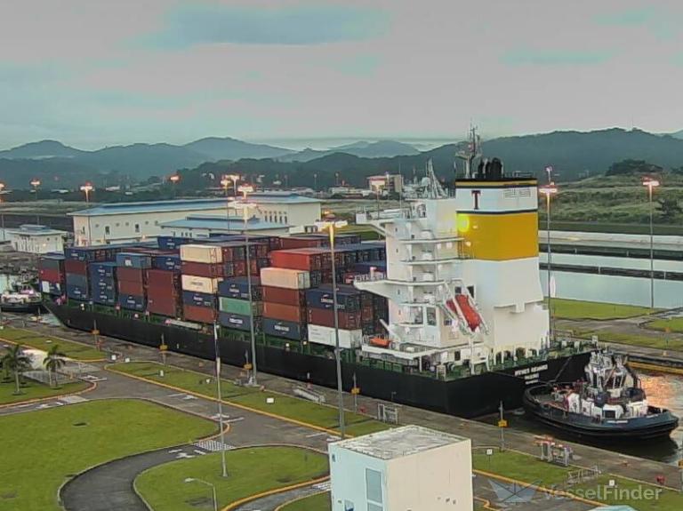 IRENES REWARD, Container Ship - Details and current position - IMO ...