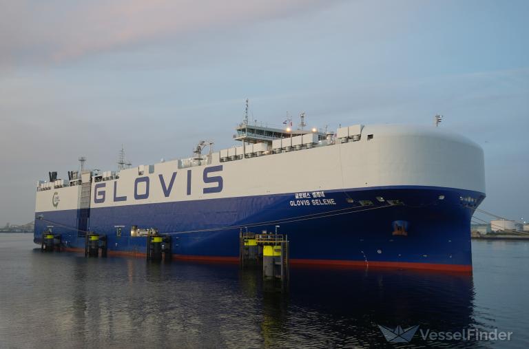 GLOVIS SELENE