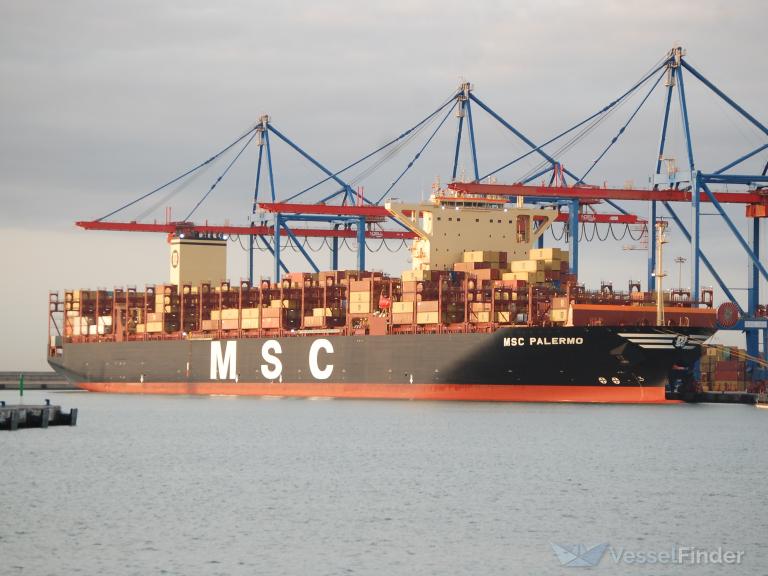 MSC PALERMO photo