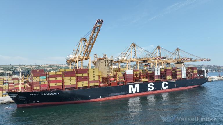 MSC PALERMO photo