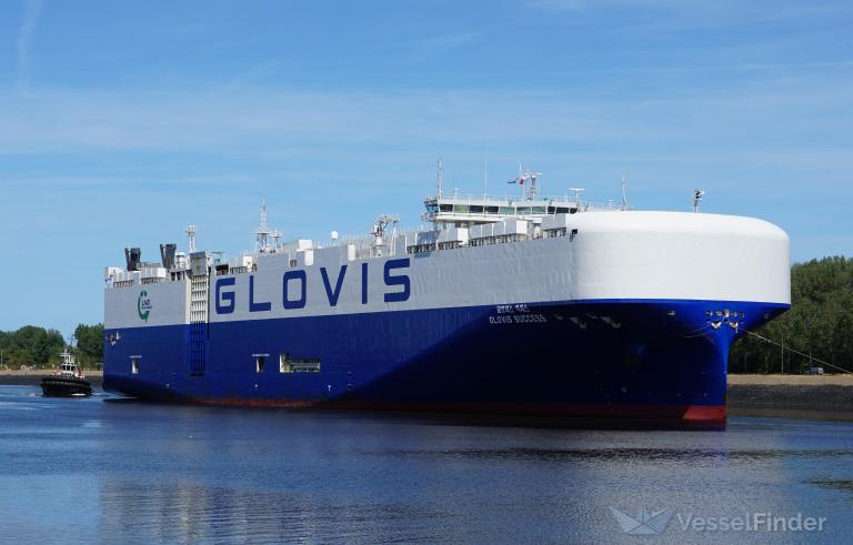 GLOVIS SUCCESS