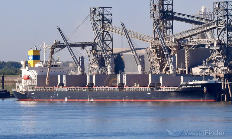 LOWLANDS DIAMOND photo