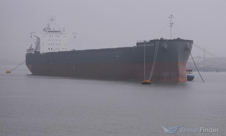 NICOLAUS SCHULTE photo