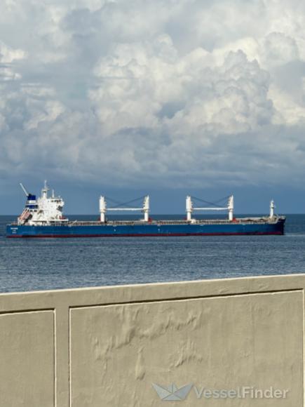 OCEAN DILIGENCE