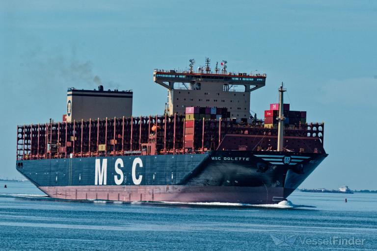 MSC DOLETTE