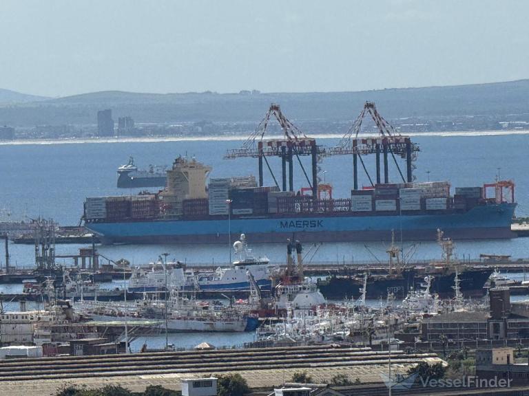 MAERSK FLORENCE photo
