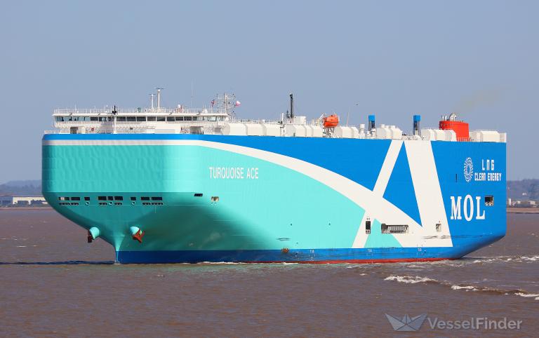TURQUOISE ACE photo