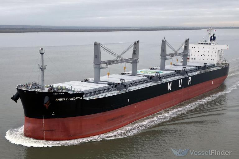 AFRICAN PREDATOR photo