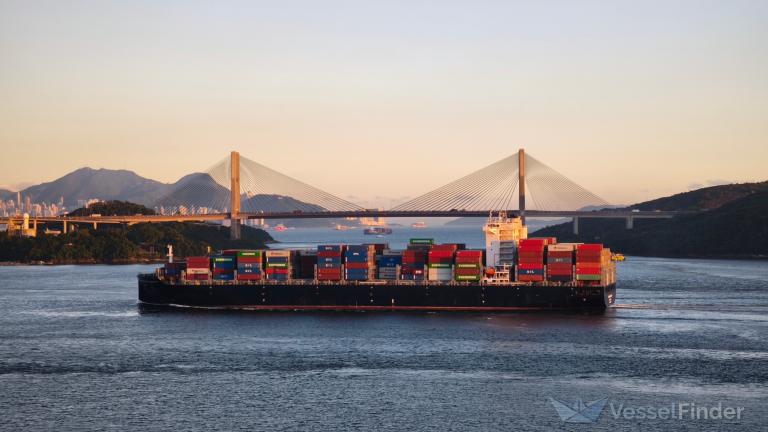 INTERASIA AMPLIFY photo