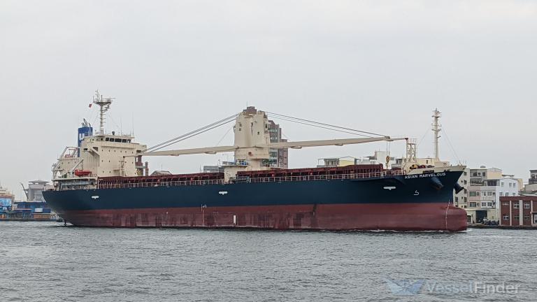 ASIAN MARVELOUS photo