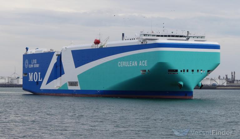 CERULEAN ACE