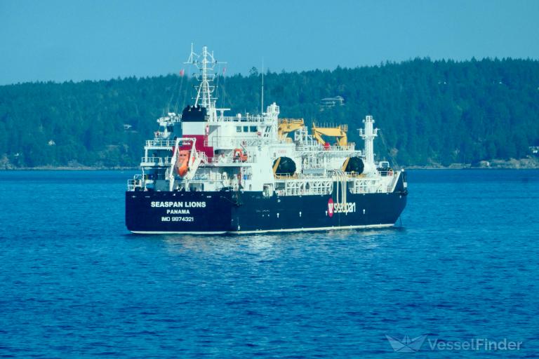 SEASPAN LIONS