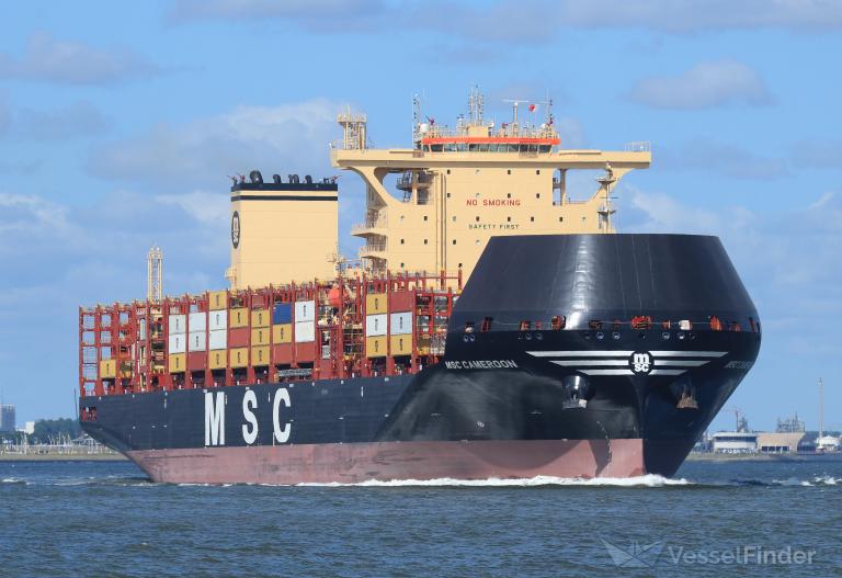 MSC CAMEROON photo