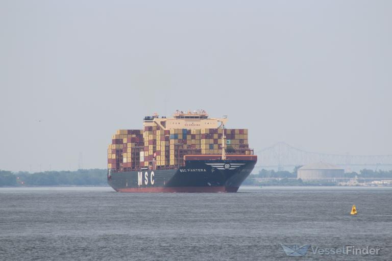 MSC PANTERA