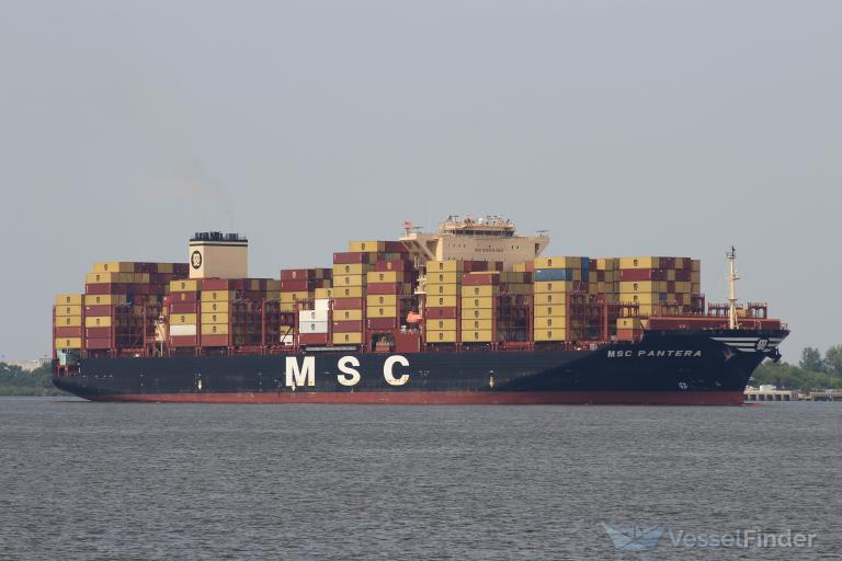 MSC PANTERA