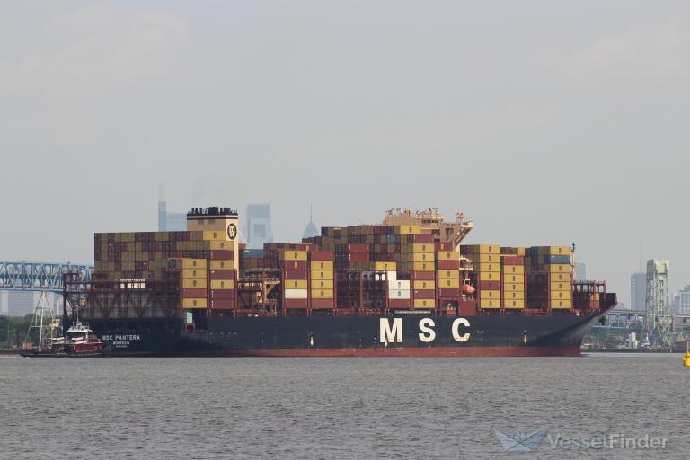 MSC PANTERA