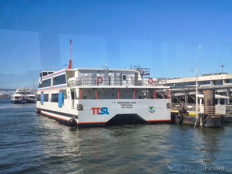 TREPADEIRA AZUL photo