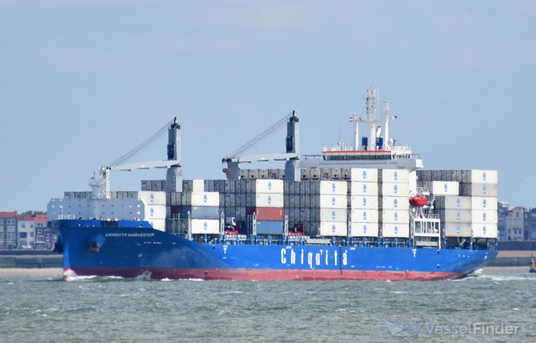 CHIQUITA HARVESTER photo