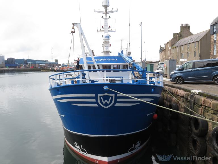 FOREVER FAITHFUL PD photo