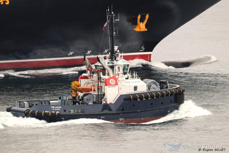 VB LOUP photo