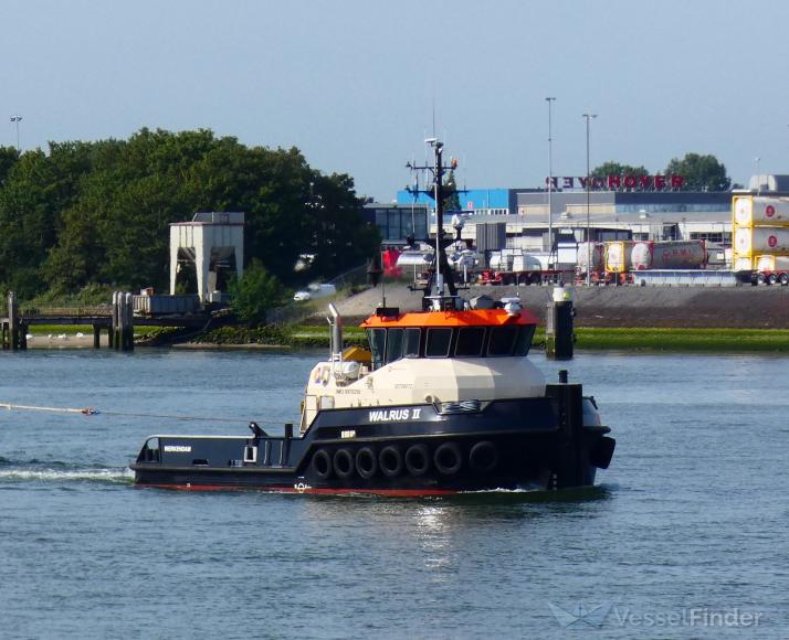 WALRUS II