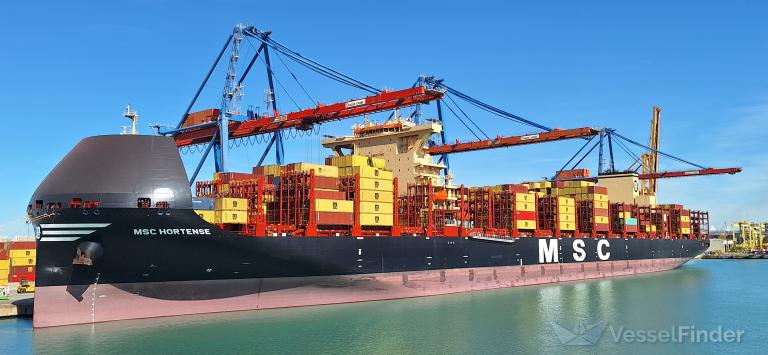 MSC HORTENSE photo