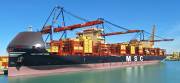 MSC-HORTENSE