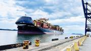MSC-GABRIELLA