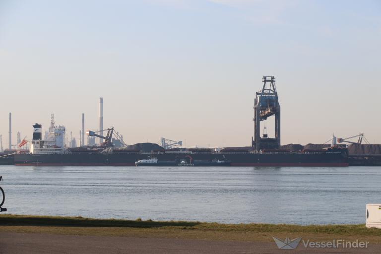 EMERALD DAISHAN photo