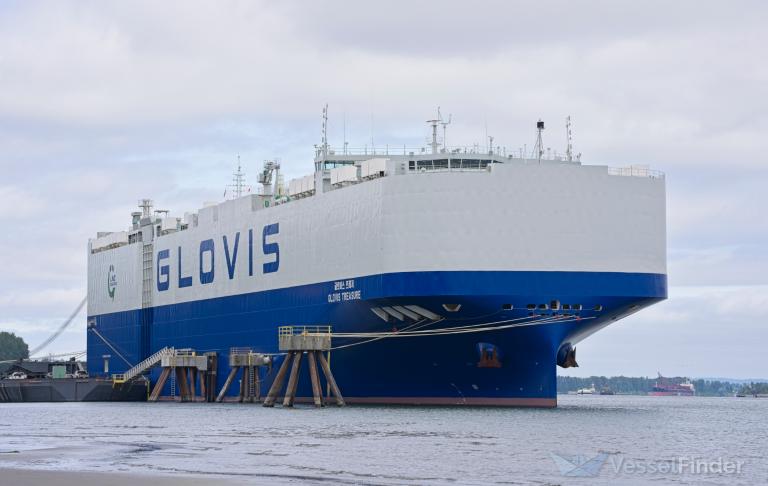 GLOVIS TREASURE