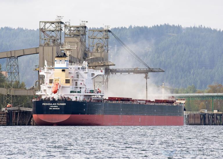 PEDHOULAS FARMER photo