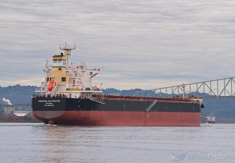 PEDHOULAS FIGHTER photo