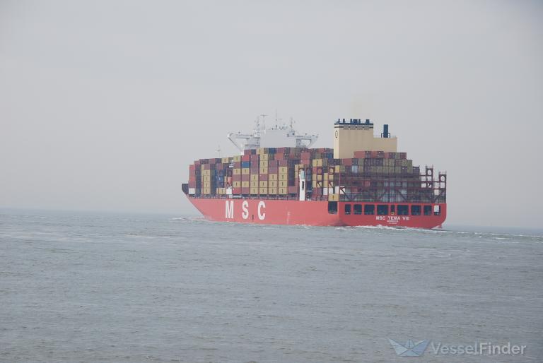 MSC TEMA VIII photo