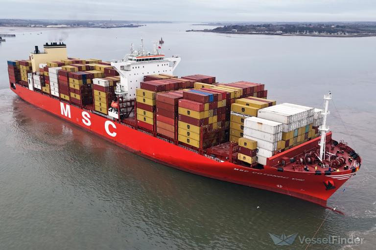 MSC COTONOU VIII photo