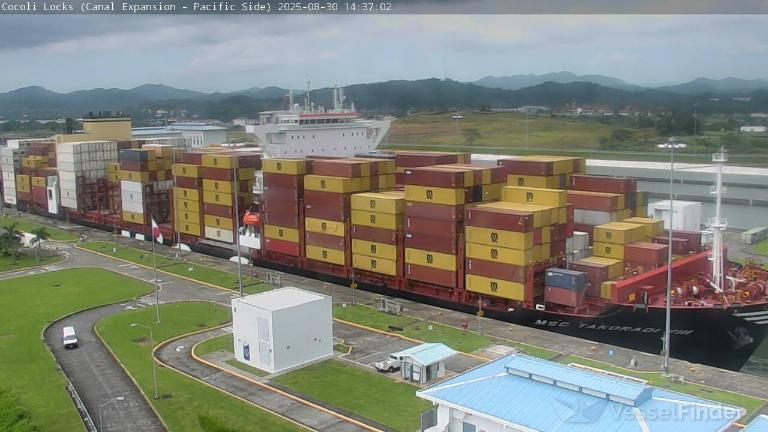 MSC TAKORADI VIII