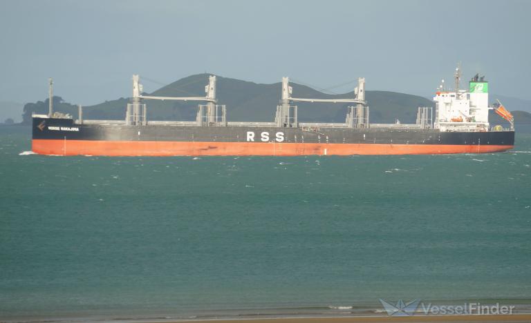 NORSE NAKAJIMA photo