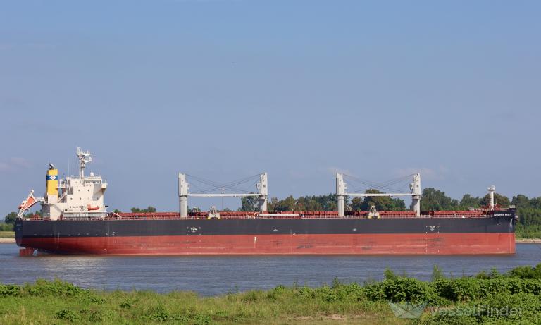 LOWLANDS WEALTH photo