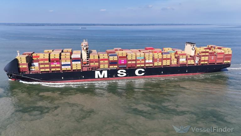 MSC ANNAMARIA photo