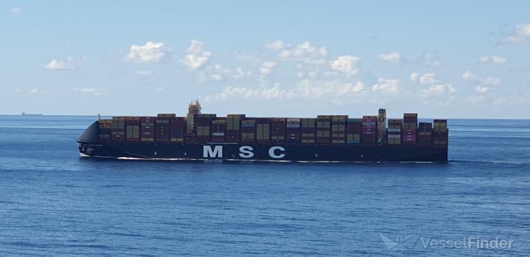 MSC SAUDI ARABIA photo