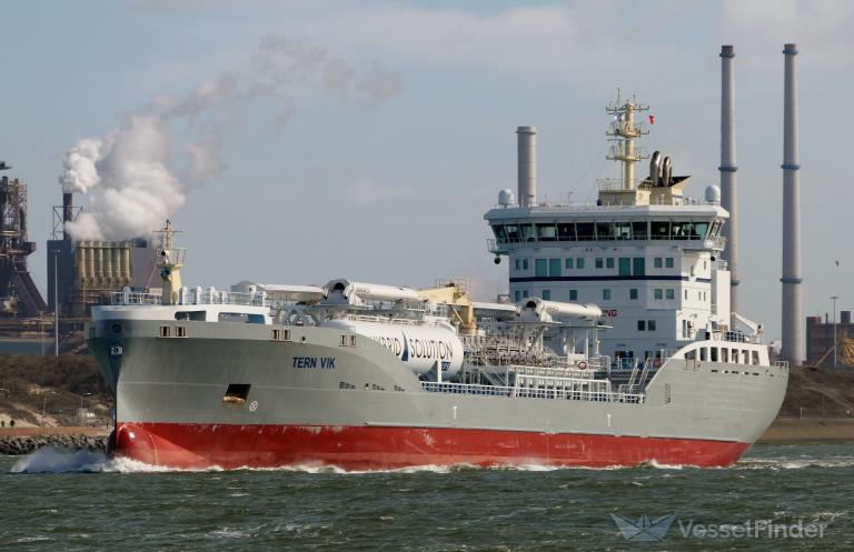 TERN VIK photo
