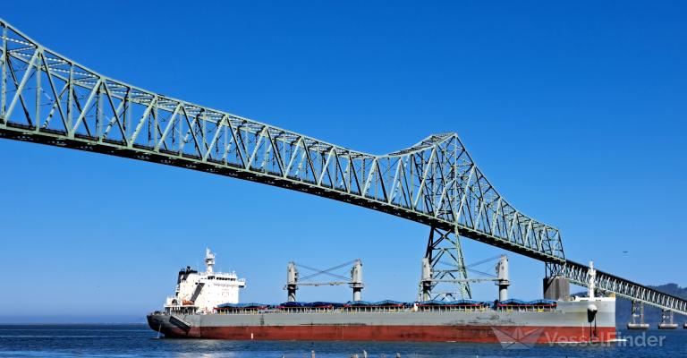 DOLPHIN TRADER photo