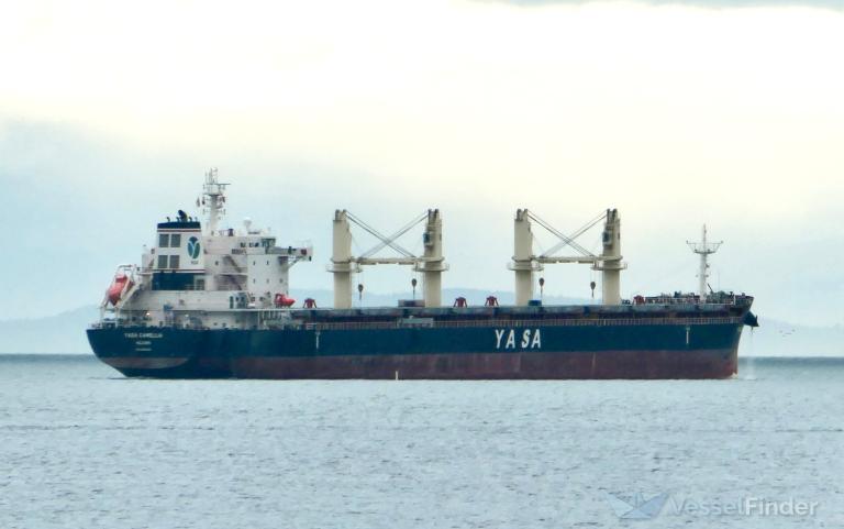 ship photo