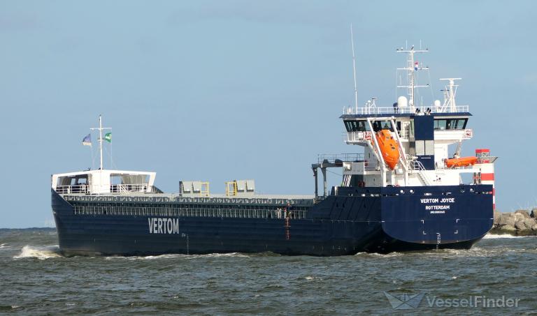 VERTOM JOYCE photo
