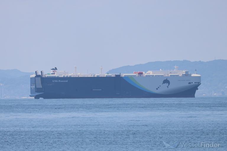 TRANSHARMONY EMERALD photo