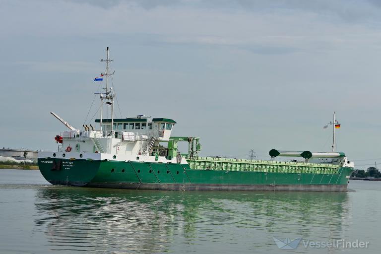 AMADEUS SAFFIER photo